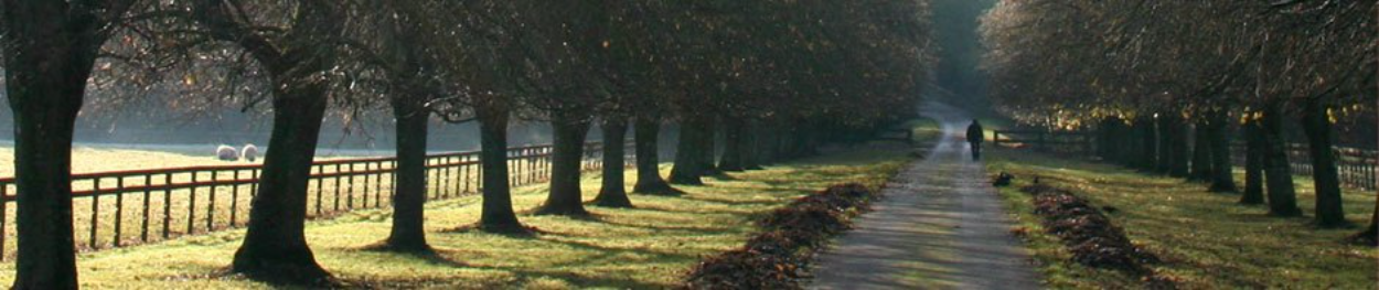 Tree walk header